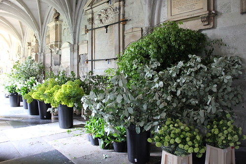 Flowers in the Abbey
