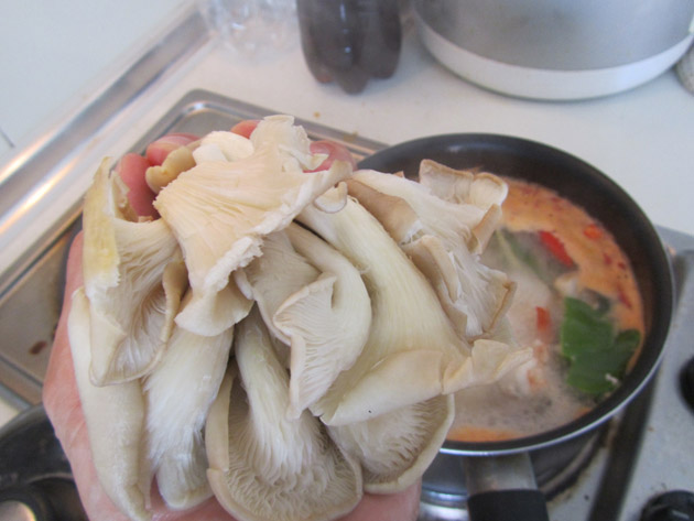 Thai soup recipe