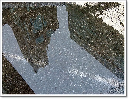 Puddle-Pic
