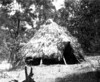 Circular hut