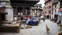 Дворцовая площадь Дурбар (Катманду, Непал)
