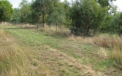 Lot 1 Peter Whitty Road, Darbys Falls NSW