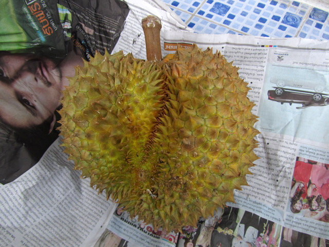 Heart Shaped Durian