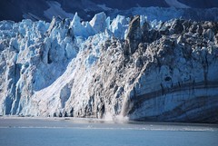John Hopkins Glacier