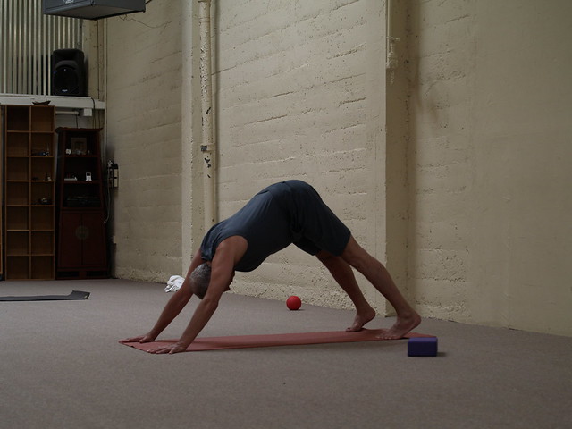 Larry in a downward dog