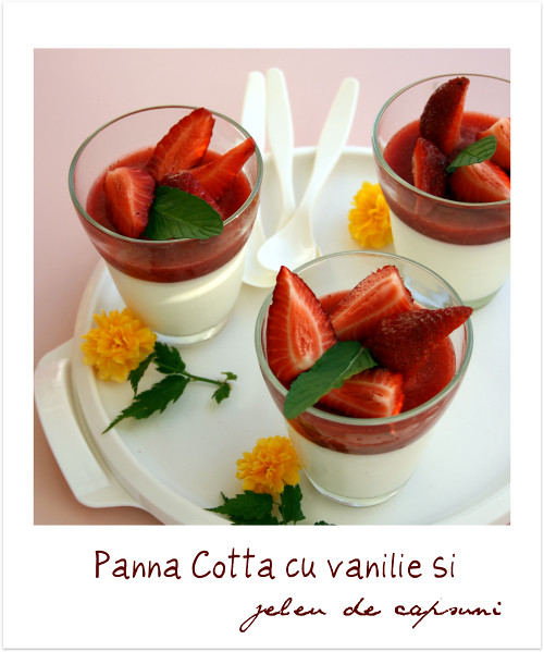 Vanilla Panna Cotta With Strawberry Gelee