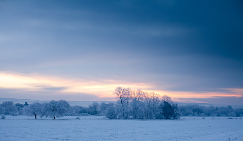 Winter dawn
