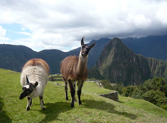 Cuzco 001