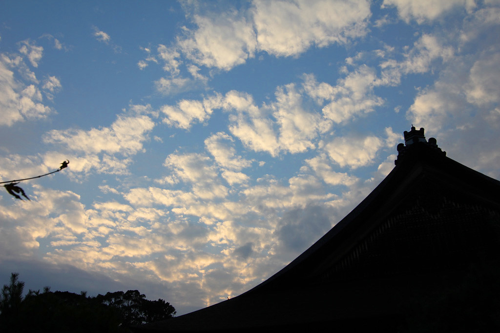 Kyoto, the city of Japanese traditions and culture Part1 (33)