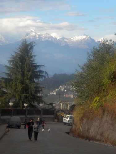 Darjeeling Travel