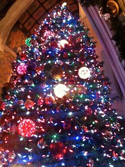 Close Up of Christmas Tree