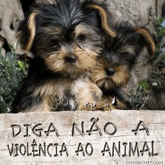 diga não a violência ao animal