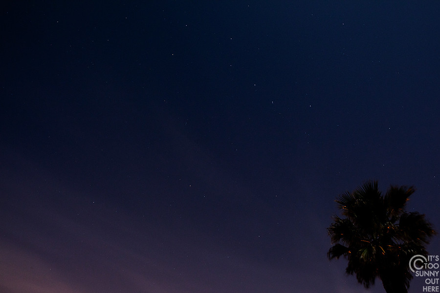Big Dipper and Palm Tree