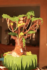 chocolate tree • <a style="font-size:0.8em;" href="http://www.flickr.com/photos/60584691@N02/5524763717/" target="_blank">View on Flickr</a>