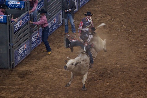 Houston Rodeo and Livestock show