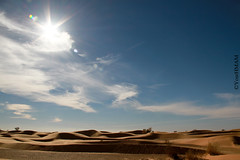 Sahara DOUZ
