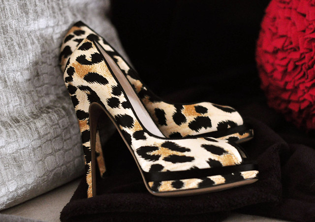  leopard print stilettos, sexy shoes, sexy heels, peep toe pumps, pretty shoes, photos of shoes, leopard print shoes, DSC_0092