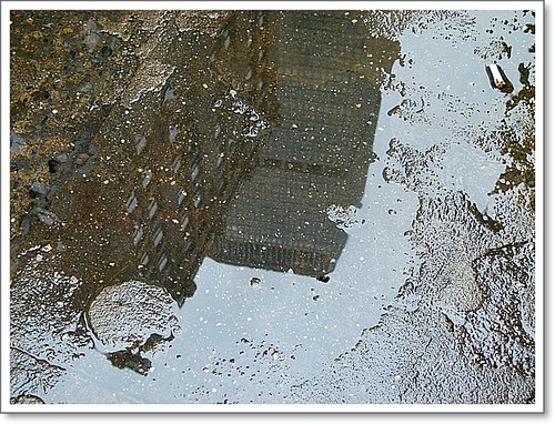 Puddle - Pic