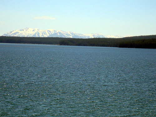 lake yellowstone