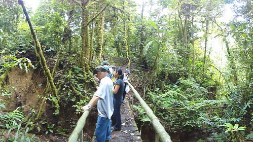 Caminata Río Java