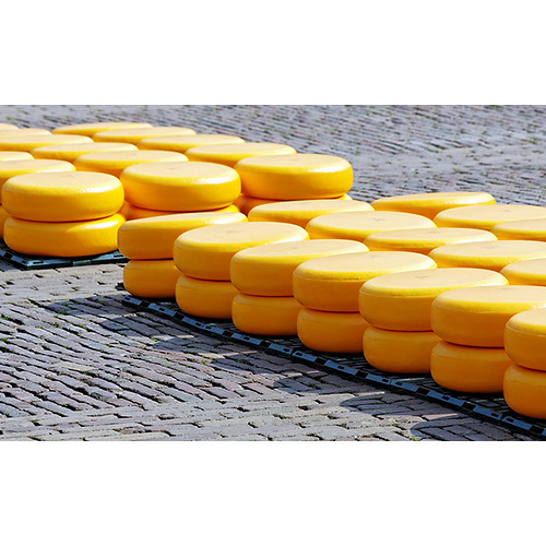 Alkmaar cheese market