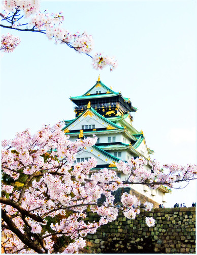 Osaka Castle with Cherry Blossoms