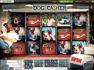 Dog Casher slot game online review