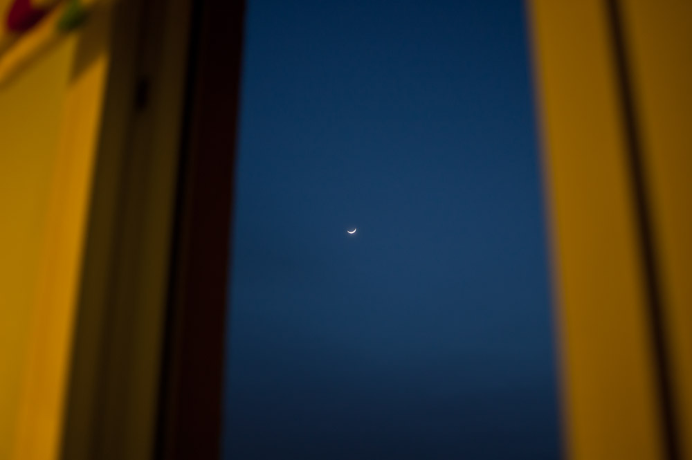 218/365 La luna desde mi ventana