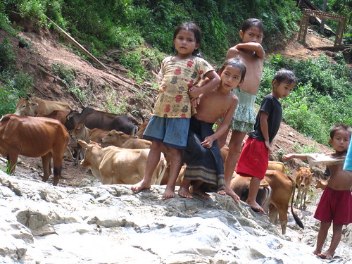 Village children and water buffalo on the river bank
