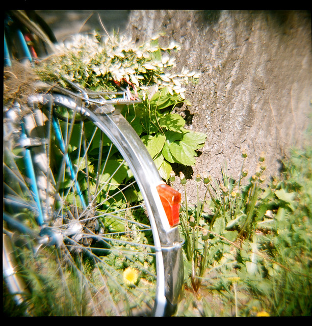 Daily life in Diana F+
