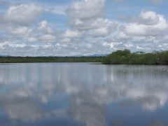 Temash River