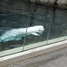 20110104-8433-Beluga-Show-Van-Aquarium.jpg