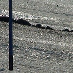 EXP_BCADBID_1726