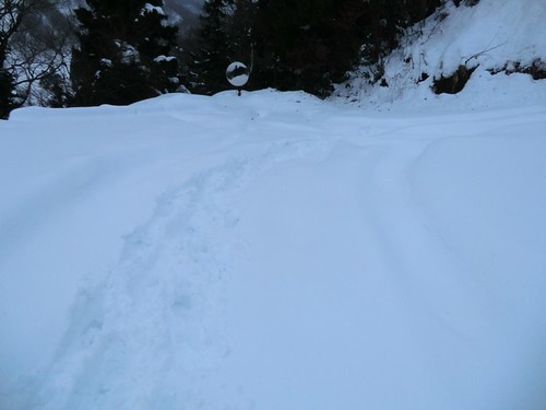 snow