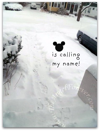 A call from Mickey