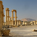 Palmyra ruins in the morning light