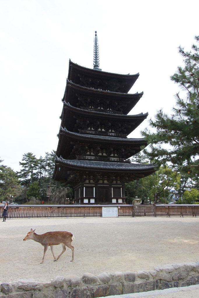 Nara Guide (1)