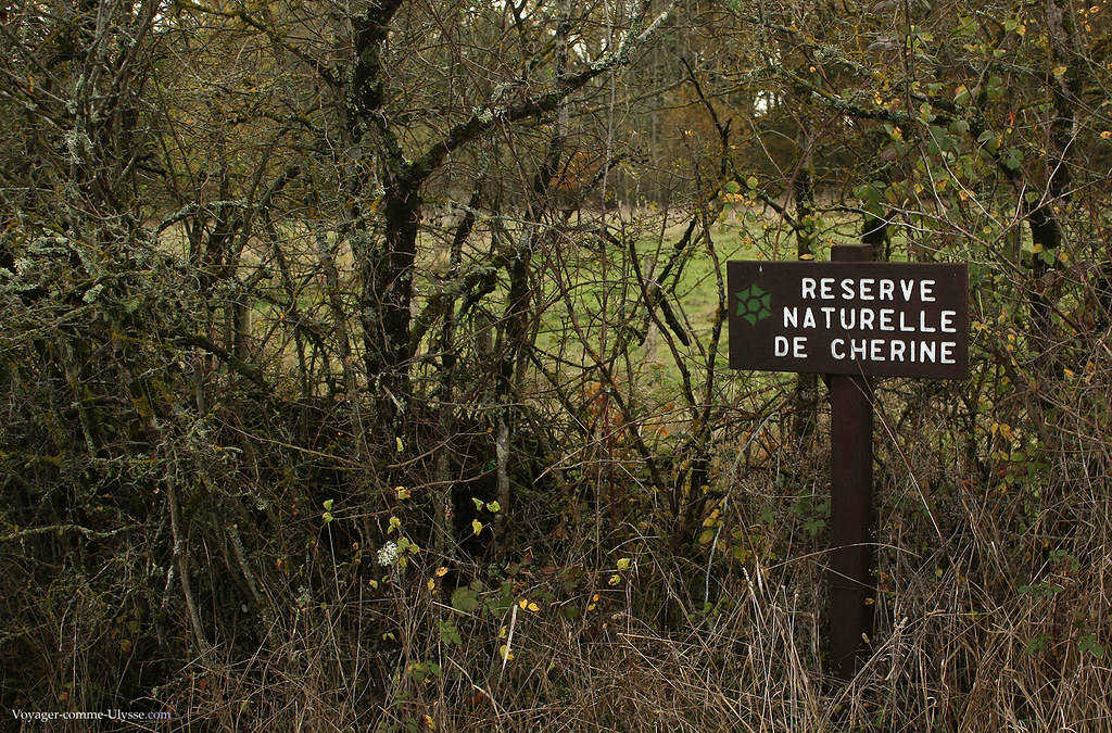 La réserve naturelle de Chérine
