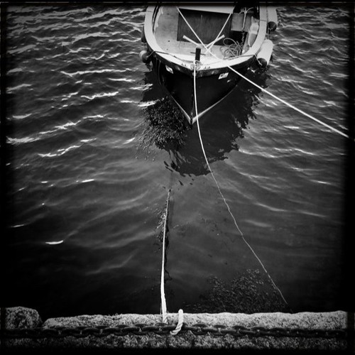 Lines from the waters edge