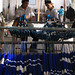 Uyghur men sorting strands of dyed silk - Hotan, Xinjiang