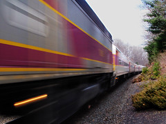 Purple train