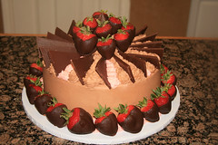 Chocolate strawberry cake • <a style="font-size:0.8em;" href="http://www.flickr.com/photos/60584691@N02/5651687100/" target="_blank">View on Flickr</a>