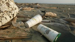  海廢：保力龍杯是垃圾的最大宗，圖片來源：台南社大