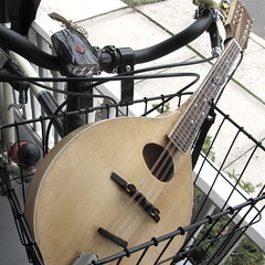 Mandolin in a Basket