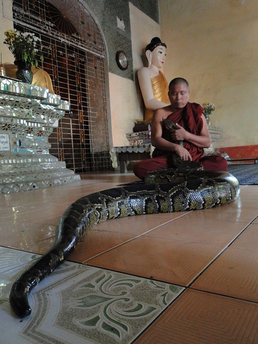 Monk'n'a'Snake
