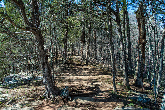Cedar Bluffs Nature Preserve - April 19, 2014