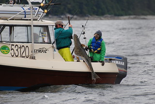 Alaska Fishing Lodge - Sitka 36