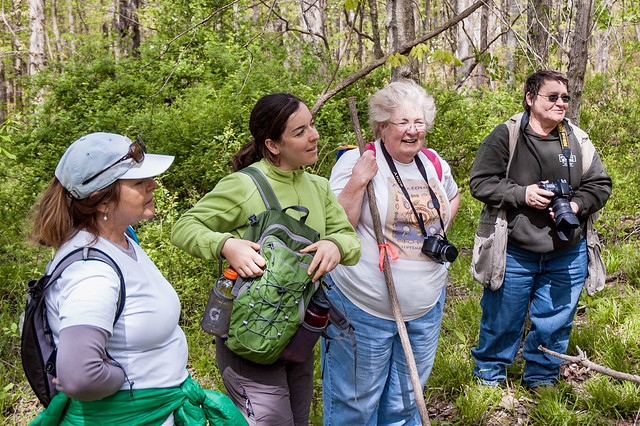 Hoosier National History Ecotour - Hoosier National Forest - Waldrip Ridge - May 3, 2014
