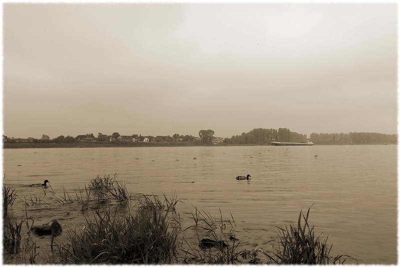 Rhein near Sürth, foggy morning<br/>© <a href="https://flickr.com/people/47700615@N08" target="_blank" rel="nofollow">47700615@N08</a> (<a href="https://flickr.com/photo.gne?id=7222482854" target="_blank" rel="nofollow">Flickr</a>)