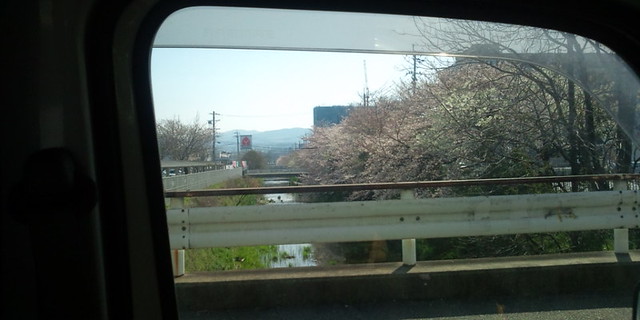 ちなみに２４号線から名木川をみたらこんな...